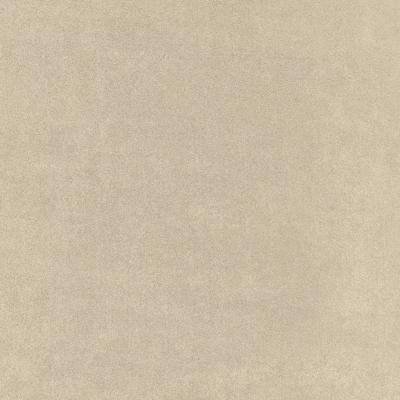 Large image