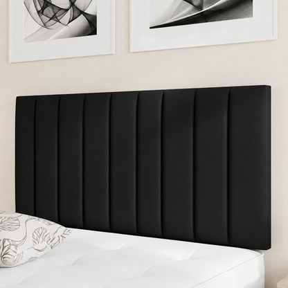 #black-plush