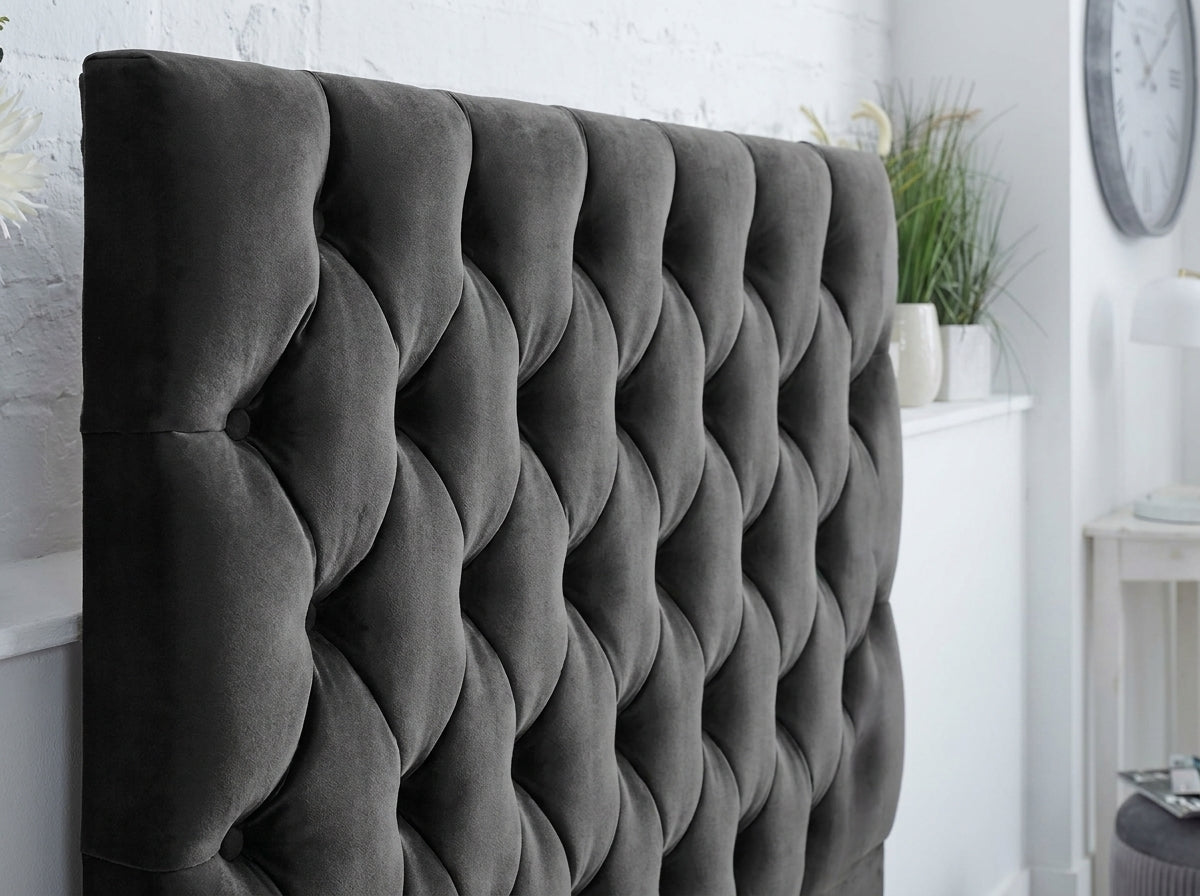 #black-plush