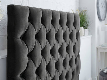 #black-plush